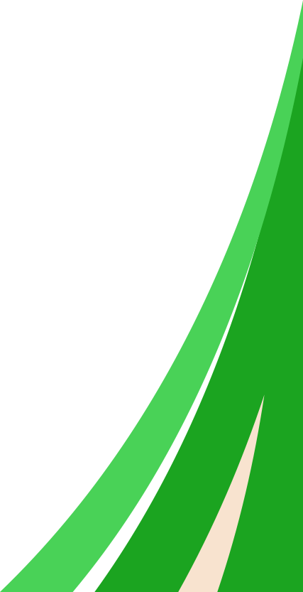 shape