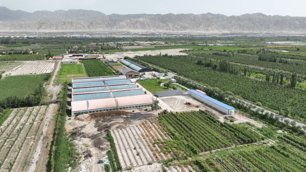 29团智慧化果园项目