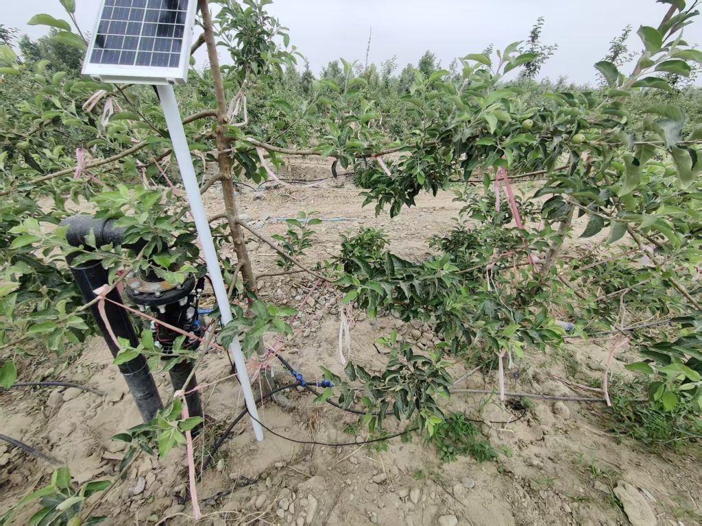 扎根新疆泽普一线|郑州晟炜物联科技有限公司智慧农业项目施工纪实 359448b3b49b0b6d22826b1fef30db95